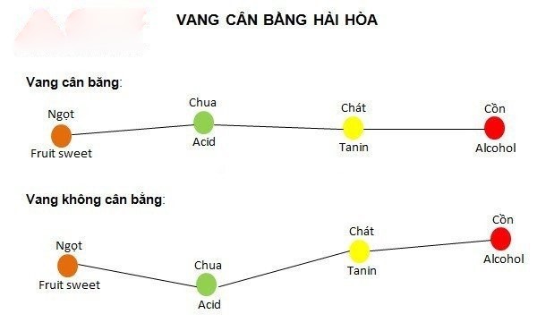 Rượu vang chính hãng - Thế nào là vang cân bằng hài hoà