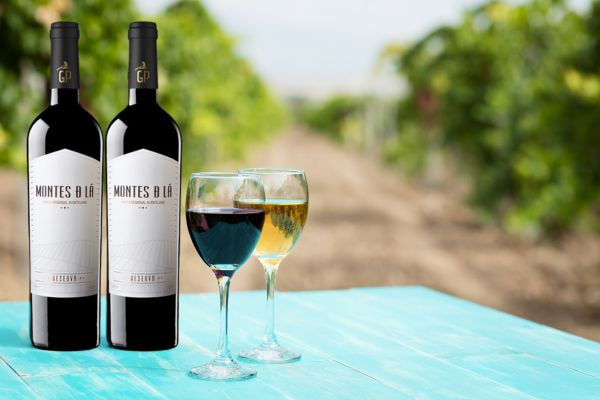 Rượu vang đỏ Bồ Đào Nha Montes de Lá RESERVA 14.5% 