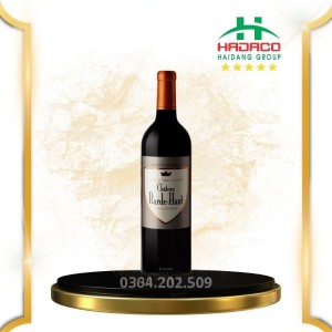 Rượu vang đỏ Pháp Chateau Barde Haut 2007 Grand Cru Classé