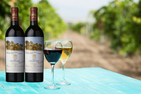 Rượu vang đỏ Pháp Chateau Mouton-Rothschild 2004 Premier Grand Cru Classé en 1855 