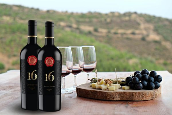 Rượu vang đỏ Ý 16 Negroamaro del Salento 16% 