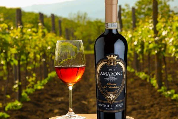 Rượu vang đỏ Ý Amarone Della Valpolicella Riserva del Fondatore DOCG 2011 16% 