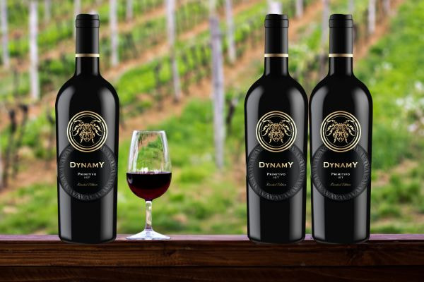 Rượu vang đỏ Ý Dynamy Primitivo di Puglia 18% 