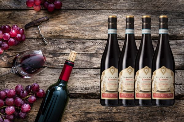 Rượu vang đỏ Ý Valpolicella Ripasso Superiore DOC 2016 14% 