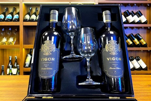 Rượu vang đỏ Ý Vigor Puglia 14.5% 