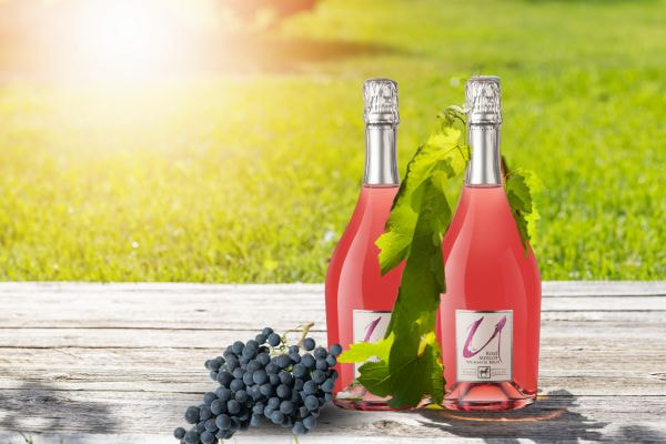 Rượu vang hồng Ý Merlot Rosè Sparkling 12% 