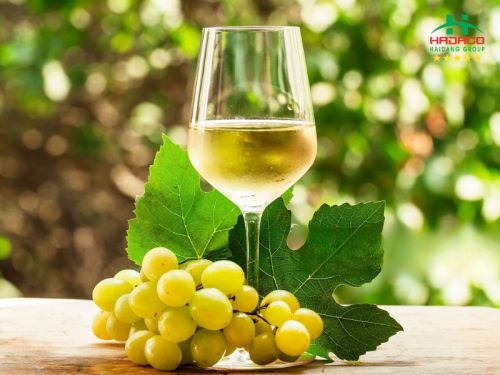 TẠI SAO CHARDONNAY TRỞ THÀNH GIỐNG NHO TRẮNG ĐƯỢC YÊU THÍCH NHẤT THẾ GIỚI