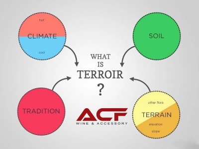 TÌM HIỂU VỀ “TERROIR” - ĐIỂM NHẤN VỀ CHẤT LƯỢNG VÀ CÂU CHUYỆN TRUYỀN THỐNG CỦA RƯỢU VANG PHÁP